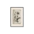 Picture of Vintage Flower I _GroupedProduct_Rectangle_Portrait_Canvas_Framed_
