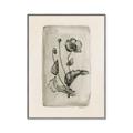 Picture of Vintage Flower I _GroupedProduct_Rectangle_Portrait_Canvas_Framed_