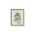 Picture of Vintage Flower II _GroupedProduct_Rectangle_Portrait_Canvas_Framed_