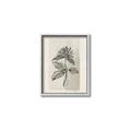 Picture of Vintage Flower II _GroupedProduct_Rectangle_Portrait_Canvas_Framed_
