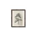 Picture of Vintage Flower II _GroupedProduct_Rectangle_Portrait_Canvas_Framed_