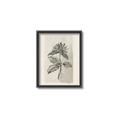Picture of Vintage Flower II _GroupedProduct_Rectangle_Portrait_Canvas_Framed_