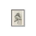 Picture of Vintage Flower II _GroupedProduct_Rectangle_Portrait_Canvas_Framed_