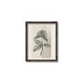 Picture of Vintage Flower II _GroupedProduct_Rectangle_Portrait_Canvas_Framed_