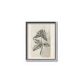 Picture of Vintage Flower II _GroupedProduct_Rectangle_Portrait_Canvas_Framed_