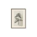 Picture of Vintage Flower II _GroupedProduct_Rectangle_Portrait_Canvas_Framed_