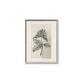 Picture of Vintage Flower II _GroupedProduct_Rectangle_Portrait_Canvas_Framed_
