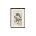 Picture of Vintage Flower II _GroupedProduct_Rectangle_Portrait_Canvas_Framed_