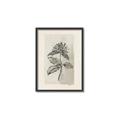 Picture of Vintage Flower II _GroupedProduct_Rectangle_Portrait_Canvas_Framed_