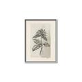 Picture of Vintage Flower II _GroupedProduct_Rectangle_Portrait_Canvas_Framed_