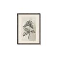Picture of Vintage Flower II _GroupedProduct_Rectangle_Portrait_Canvas_Framed_