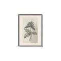 Picture of Vintage Flower II _GroupedProduct_Rectangle_Portrait_Canvas_Framed_