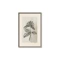 Picture of Vintage Flower II _GroupedProduct_Rectangle_Portrait_Canvas_Framed_