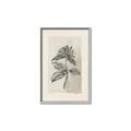 Picture of Vintage Flower II _GroupedProduct_Rectangle_Portrait_Canvas_Framed_