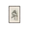 Picture of Vintage Flower II _GroupedProduct_Rectangle_Portrait_Canvas_Framed_