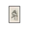Picture of Vintage Flower II _GroupedProduct_Rectangle_Portrait_Canvas_Framed_