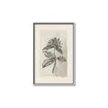 Picture of Vintage Flower II _GroupedProduct_Rectangle_Portrait_Canvas_Framed_