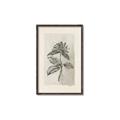 Picture of Vintage Flower II _GroupedProduct_Rectangle_Portrait_Canvas_Framed_