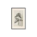 Picture of Vintage Flower II _GroupedProduct_Rectangle_Portrait_Canvas_Framed_