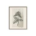 Picture of Vintage Flower II _GroupedProduct_Rectangle_Portrait_Canvas_Framed_