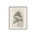 Picture of Vintage Flower II _GroupedProduct_Rectangle_Portrait_Canvas_Framed_