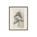 Picture of Vintage Flower II _GroupedProduct_Rectangle_Portrait_Canvas_Framed_