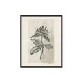 Picture of Vintage Flower II _GroupedProduct_Rectangle_Portrait_Canvas_Framed_