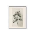 Picture of Vintage Flower II _GroupedProduct_Rectangle_Portrait_Canvas_Framed_