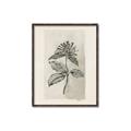 Picture of Vintage Flower II _GroupedProduct_Rectangle_Portrait_Canvas_Framed_