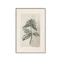 Picture of Vintage Flower II _GroupedProduct_Rectangle_Portrait_Canvas_Framed_