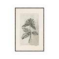 Picture of Vintage Flower II _GroupedProduct_Rectangle_Portrait_Canvas_Framed_