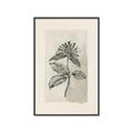 Picture of Vintage Flower II _GroupedProduct_Rectangle_Portrait_Canvas_Framed_