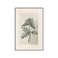 Picture of Vintage Flower II _GroupedProduct_Rectangle_Portrait_Canvas_Framed_