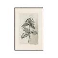 Picture of Vintage Flower II _GroupedProduct_Rectangle_Portrait_Canvas_Framed_