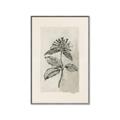 Picture of Vintage Flower II _GroupedProduct_Rectangle_Portrait_Canvas_Framed_
