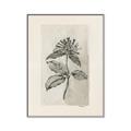 Picture of Vintage Flower II _GroupedProduct_Rectangle_Portrait_Canvas_Framed_