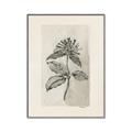 Picture of Vintage Flower II _GroupedProduct_Rectangle_Portrait_Canvas_Framed_