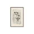 Picture of Vintage Flower IV _GroupedProduct_Rectangle_Portrait_Canvas_Framed_