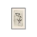 Picture of Vintage Flower IV _GroupedProduct_Rectangle_Portrait_Canvas_Framed_
