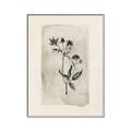 Picture of Vintage Flower IV _GroupedProduct_Rectangle_Portrait_Canvas_Framed_