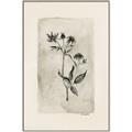 Picture of Vintage Flower IV _GroupedProduct_Rectangle_Portrait_Canvas_Framed_
