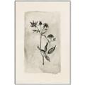 Picture of Vintage Flower IV _GroupedProduct_Rectangle_Portrait_Canvas_Framed_
