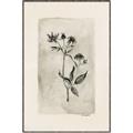 Picture of Vintage Flower IV _GroupedProduct_Rectangle_Portrait_Canvas_Framed_