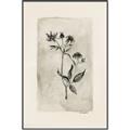 Picture of Vintage Flower IV _GroupedProduct_Rectangle_Portrait_Canvas_Framed_