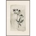 Picture of Vintage Flower IV _GroupedProduct_Rectangle_Portrait_Canvas_Framed_