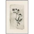 Picture of Vintage Flower IV _GroupedProduct_Rectangle_Portrait_Canvas_Framed_