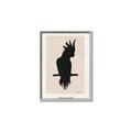 Picture of Vintage Cockatoo _GroupedProduct_Rectangle_Portrait_Canvas_Framed_
