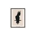 Picture of Vintage Cockatoo _GroupedProduct_Rectangle_Portrait_Canvas_Framed_