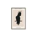 Picture of Vintage Cockatoo _GroupedProduct_Rectangle_Portrait_Canvas_Framed_