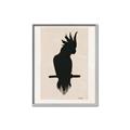 Picture of Vintage Cockatoo _GroupedProduct_Rectangle_Portrait_Canvas_Framed_